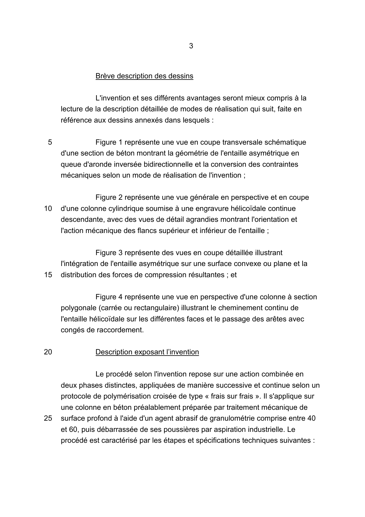 P-171554-CH - page 3 du brevet