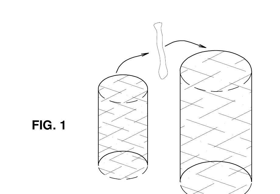 Figure 1 du brevet P-171557-CH
